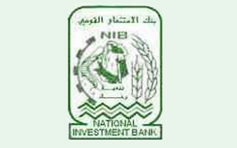 بنك الاستثمار القومى